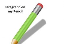 How to write a paragraph on my Pencil How to write a paragraph on my Pencil