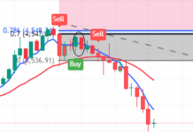 Fibonacci Retracement: How to Draw It in Uptrend for Reversal & Intraday Trading How to draw Fibonacci retracement in uptrend for reversal